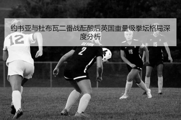 约书亚与杜布瓦二番战酝酿后英国重量级拳坛格局深度分析